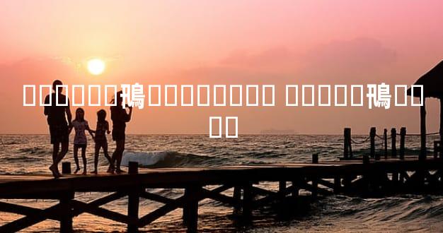 ������鳵��ҵ���۱� �����鳵����